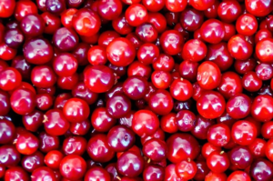 Bruklenes